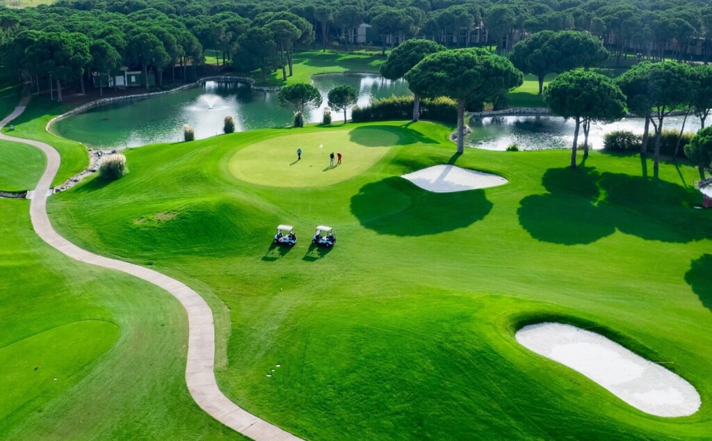 top view of two men playing golf on a sunny day