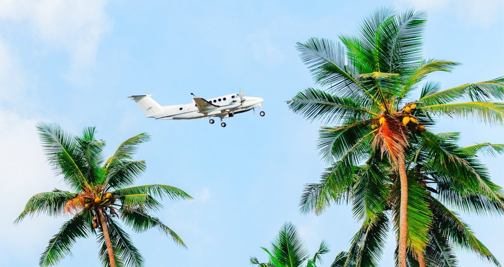 Palms against a blue sky, plane flies over palm trees. Tropical photo background