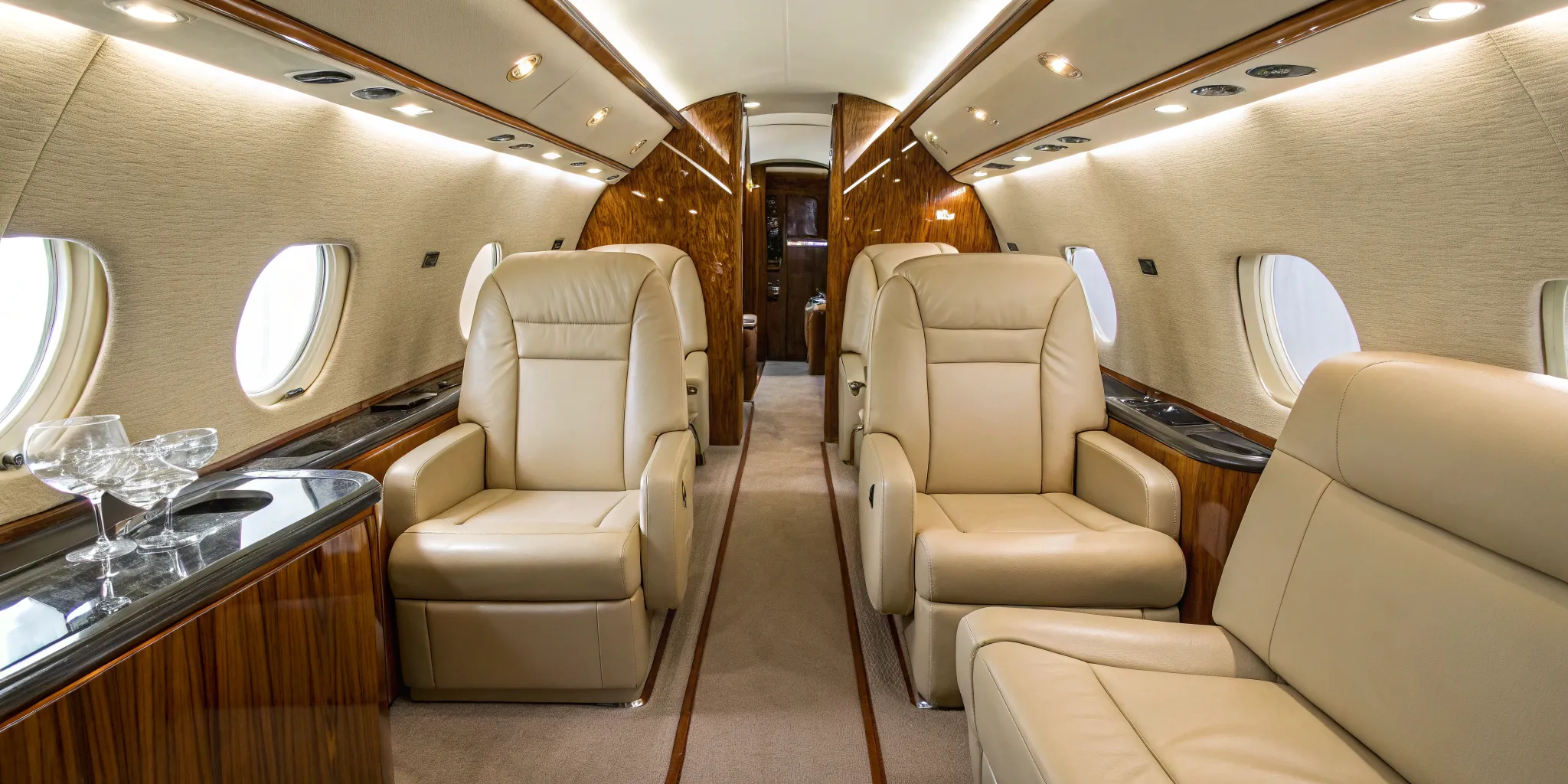 Private jet with plush leather seats.